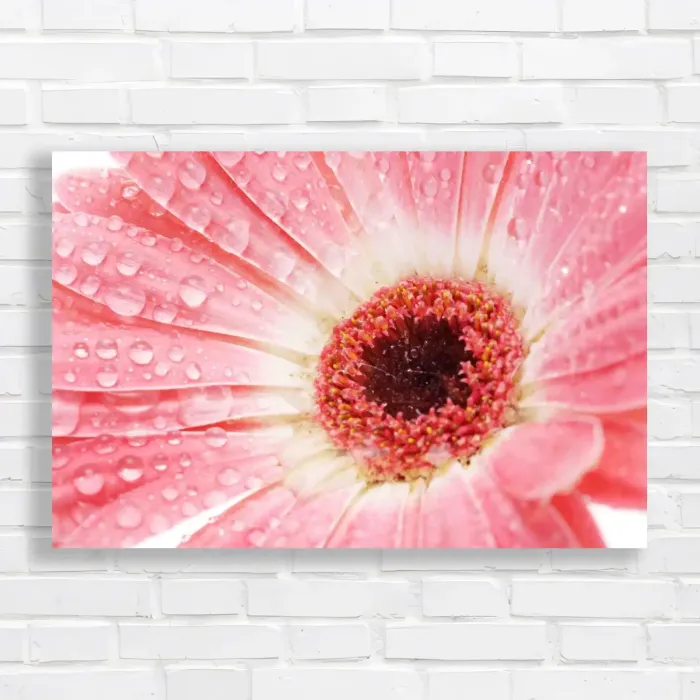 x=0.35;y=0.35;w=0.3;h=0.3