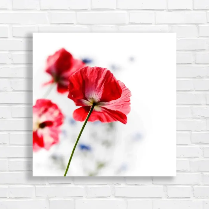 x=0.35;y=0.35;w=0.3;h=0.3