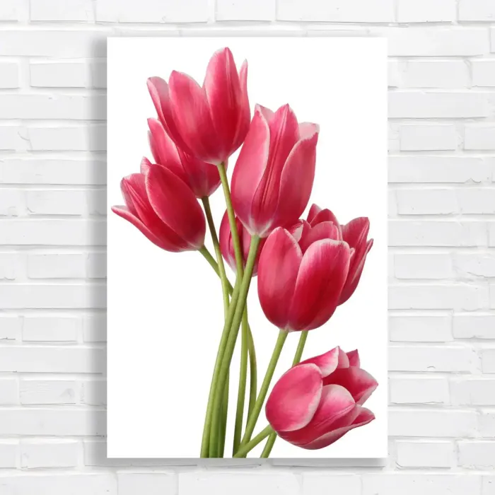 x=0.35;y=0.35;w=0.3;h=0.3