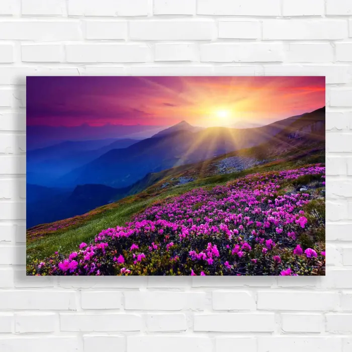 x=0.35;y=0.35;w=0.3;h=0.3