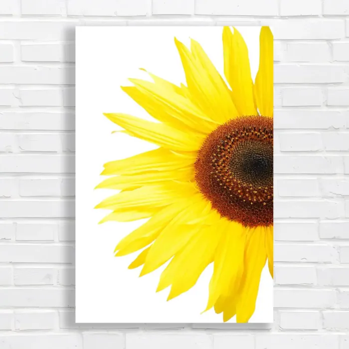 x=0.35;y=0.35;w=0.3;h=0.3