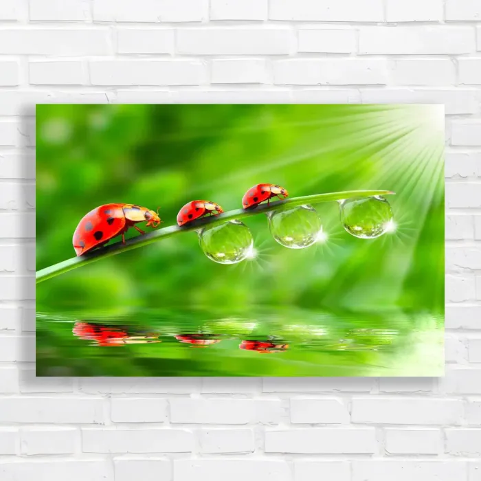 x=0.35;y=0.35;w=0.3;h=0.3