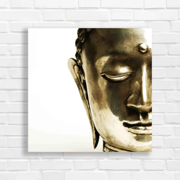 x=0.35;y=0.35;w=0.3;h=0.3