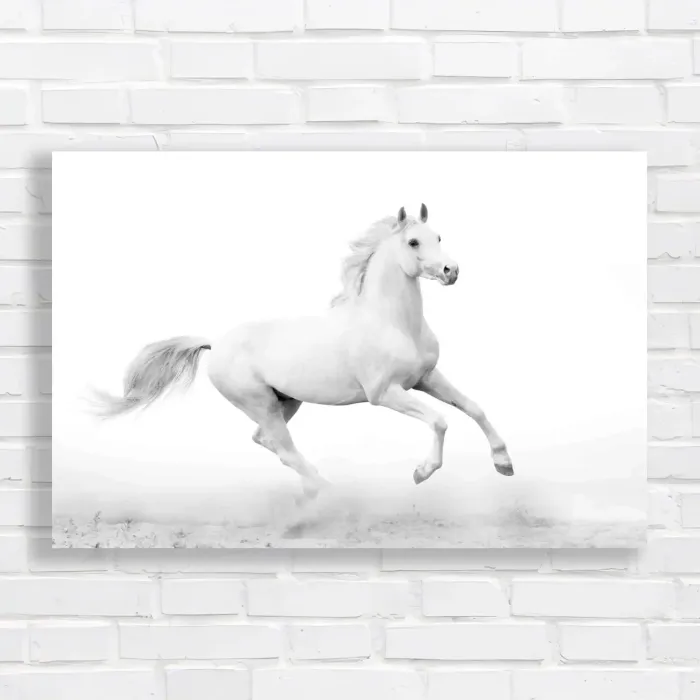 x=0.35;y=0.35;w=0.3;h=0.3