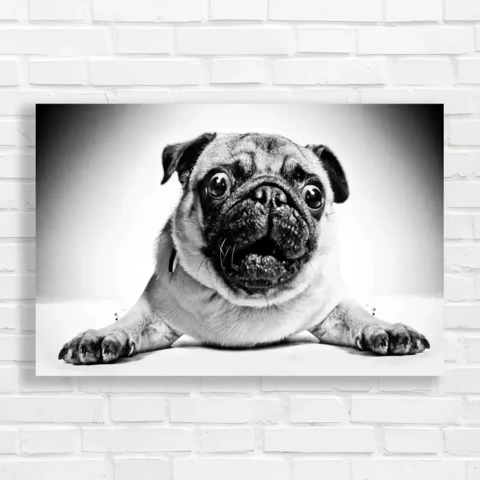 x=0.35;y=0.35;w=0.3;h=0.3