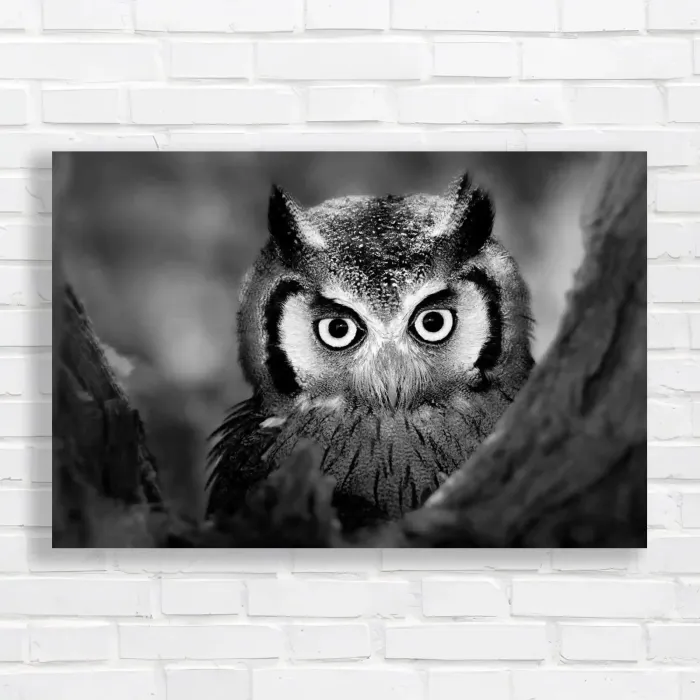 x=0.35;y=0.35;w=0.3;h=0.3