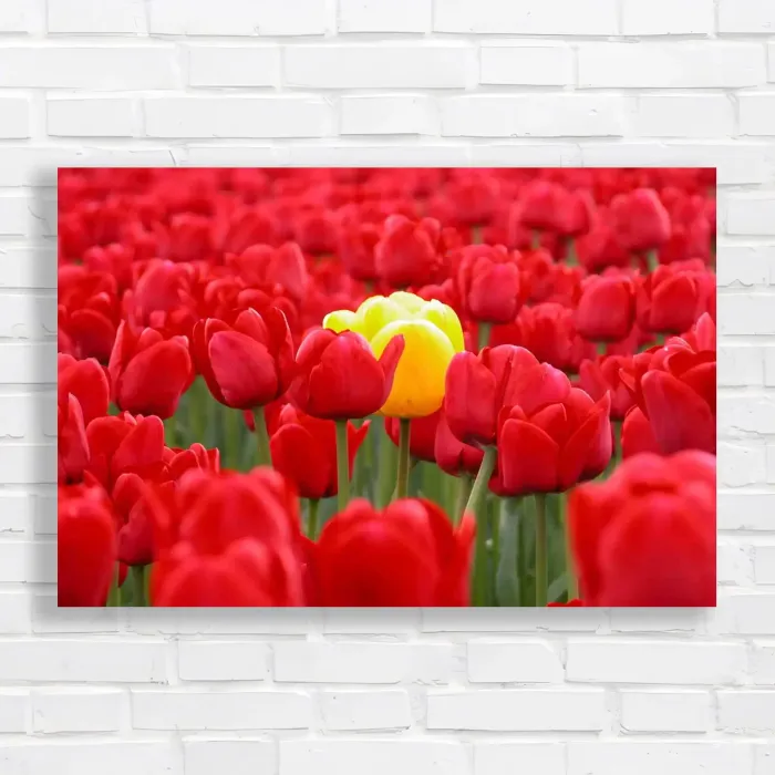 x=0.35;y=0.35;w=0.3;h=0.3