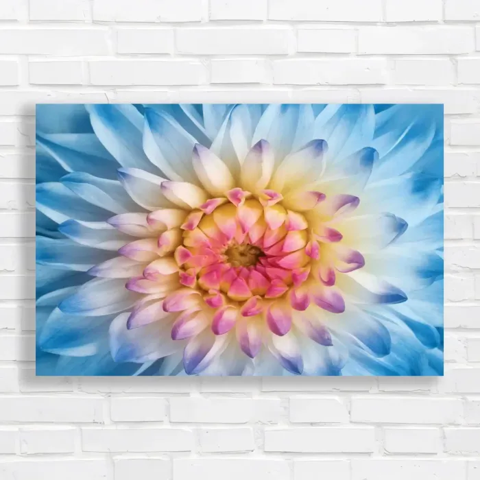 x=0.35;y=0.35;w=0.3;h=0.3