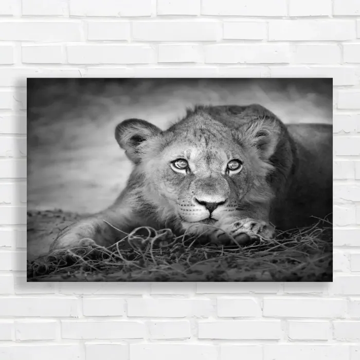 x=0.35;y=0.35;w=0.3;h=0.3