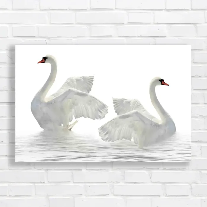 x=0.35;y=0.35;w=0.3;h=0.3