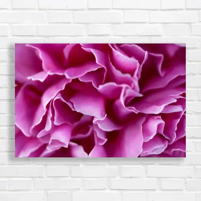 x=0.35;y=0.35;w=0.3;h=0.3