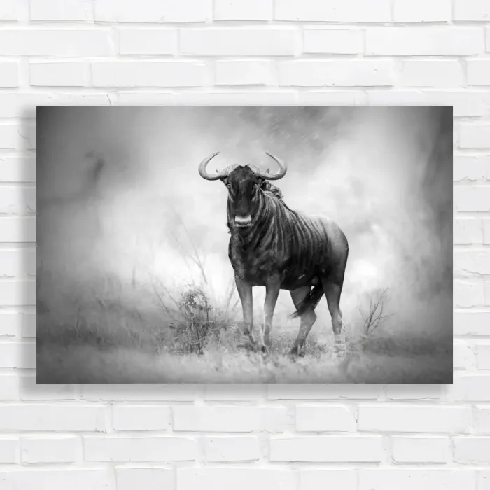 x=0.35;y=0.35;w=0.3;h=0.3