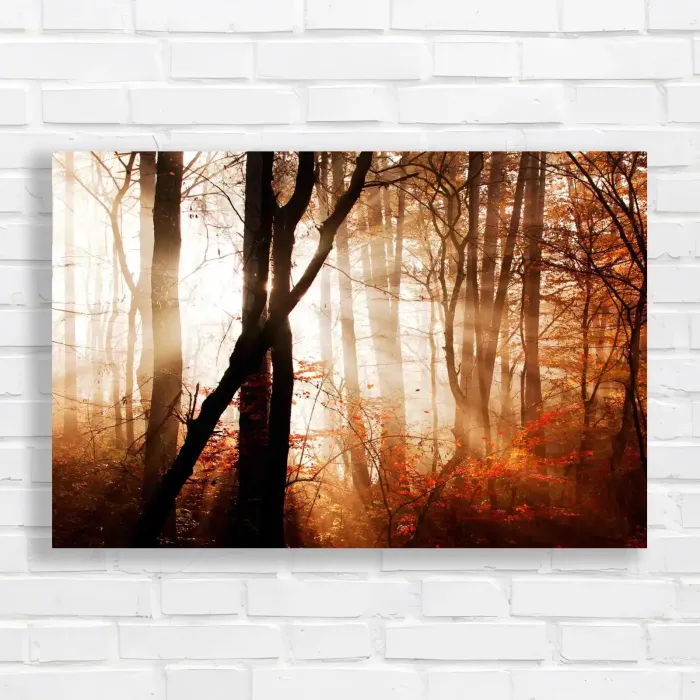 x=0.35;y=0.35;w=0.3;h=0.3