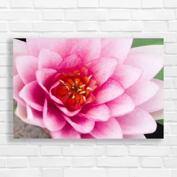 x=0.35;y=0.35;w=0.3;h=0.3