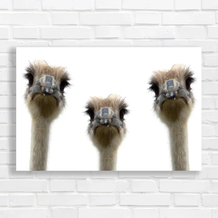 x=0.35;y=0.35;w=0.3;h=0.3