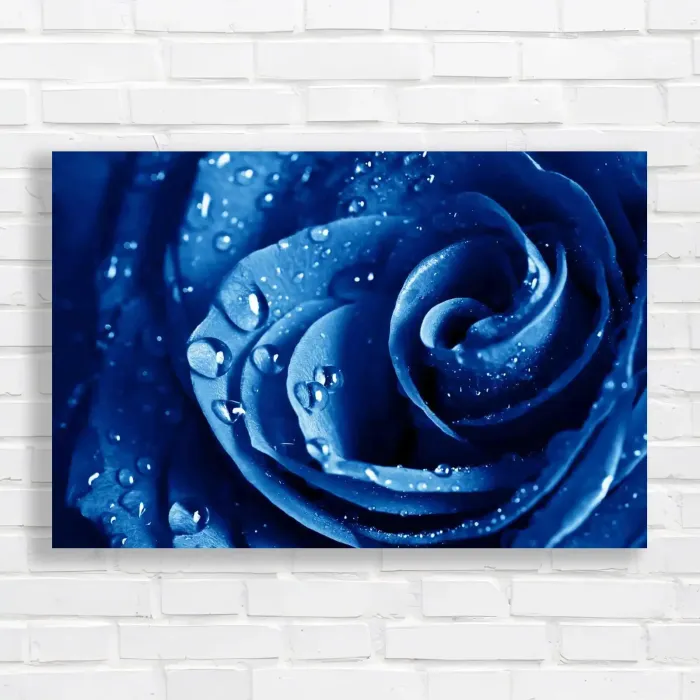 x=0.35;y=0.35;w=0.3;h=0.3