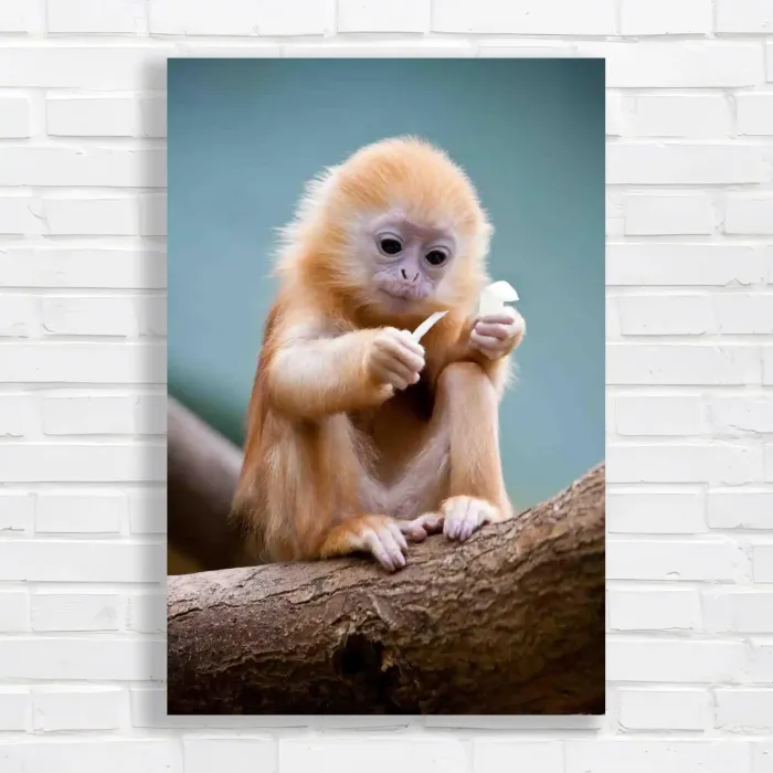 x=0.35;y=0.35;w=0.3;h=0.3