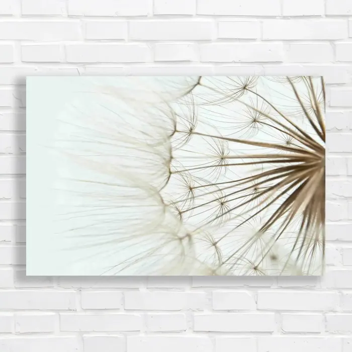 x=0.35;y=0.35;w=0.3;h=0.3