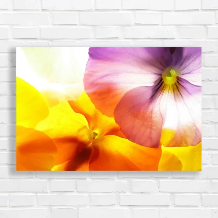 x=0.35;y=0.35;w=0.3;h=0.3