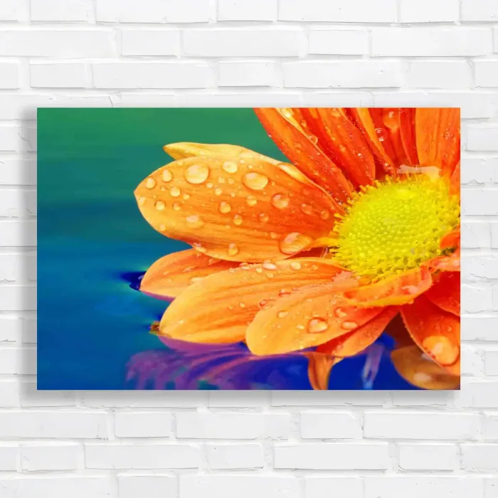 x=0.35;y=0.35;w=0.3;h=0.3