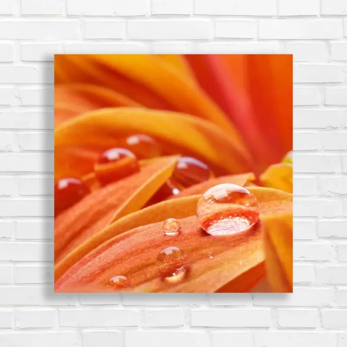 x=0.35;y=0.35;w=0.3;h=0.3