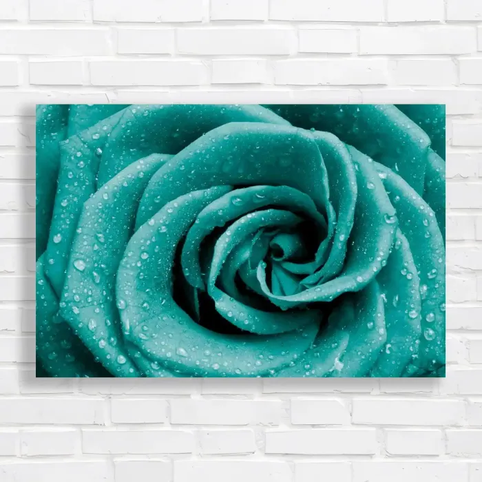 x=0.35;y=0.35;w=0.3;h=0.3