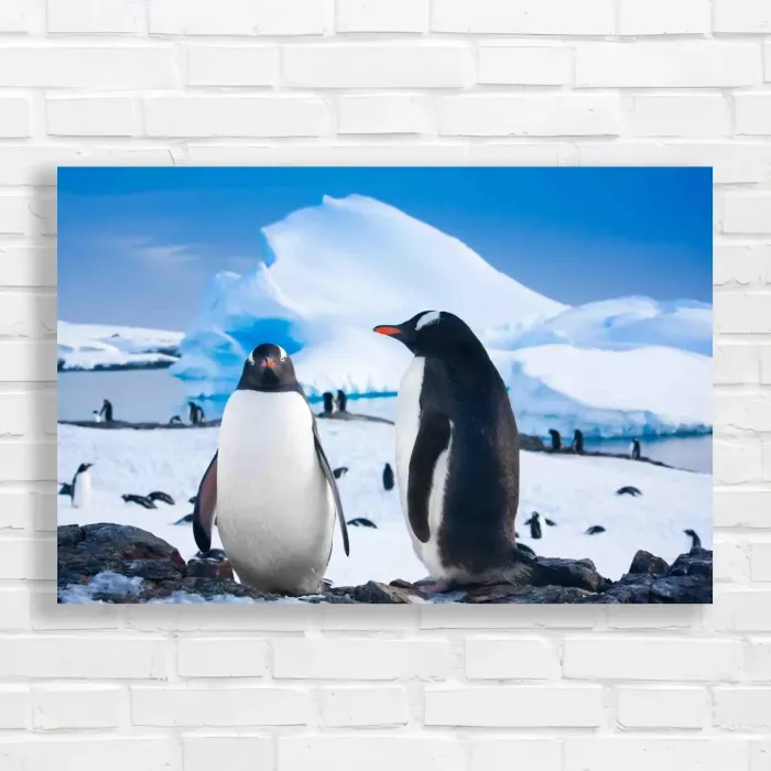 x=0.35;y=0.35;w=0.3;h=0.3