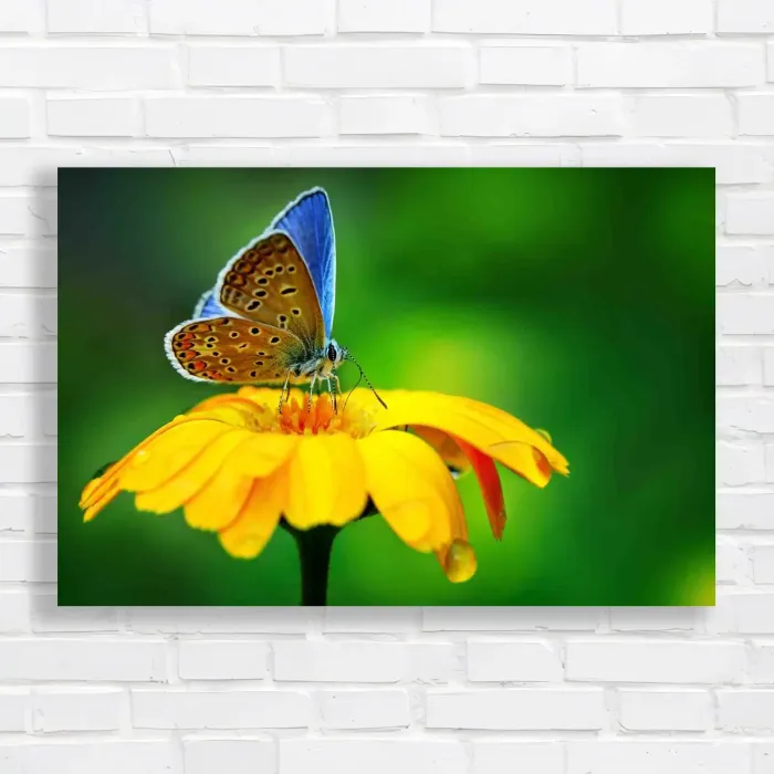 x=0.35;y=0.35;w=0.3;h=0.3