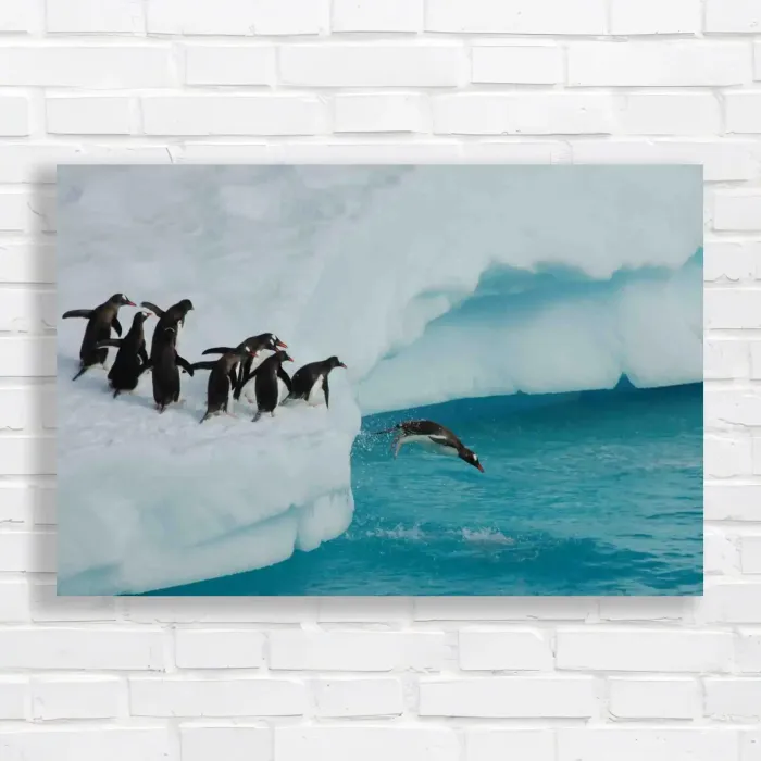 x=0.35;y=0.35;w=0.3;h=0.3