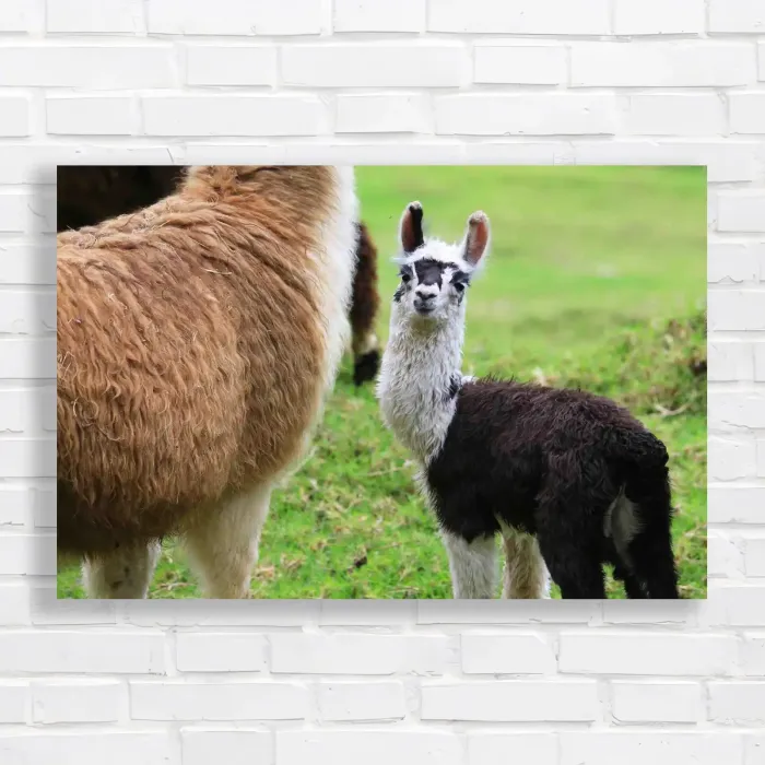 x=0.35;y=0.35;w=0.3;h=0.3