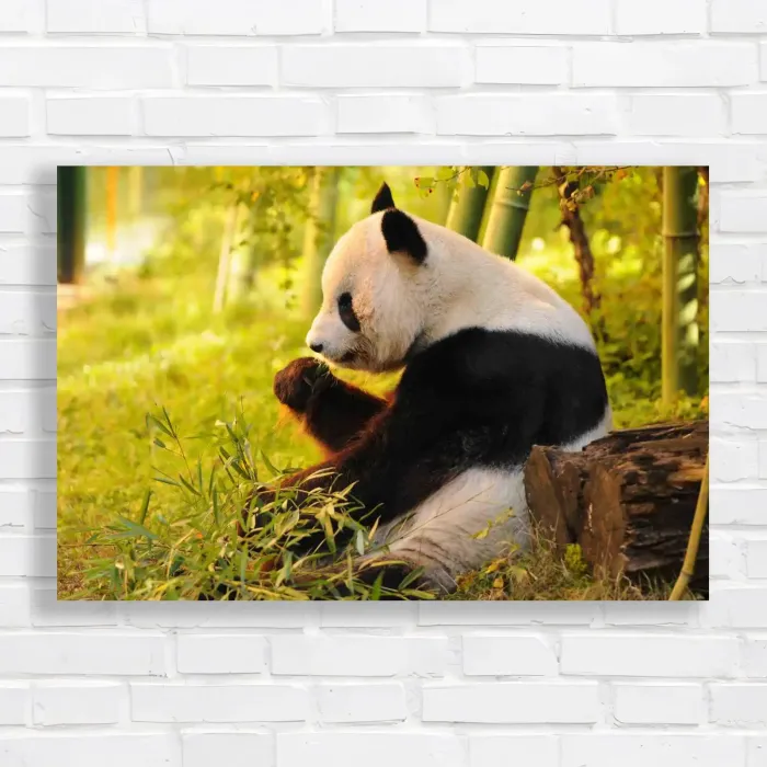 x=0.35;y=0.35;w=0.3;h=0.3