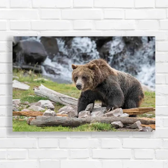 x=0.35;y=0.35;w=0.3;h=0.3