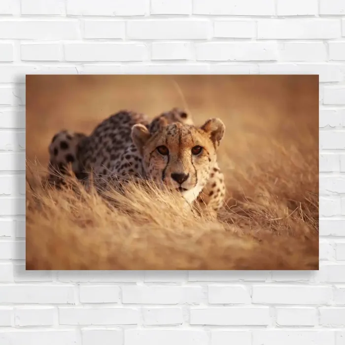 x=0.35;y=0.35;w=0.3;h=0.3