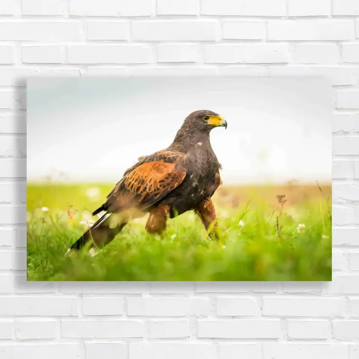 x=0.35;y=0.35;w=0.3;h=0.3