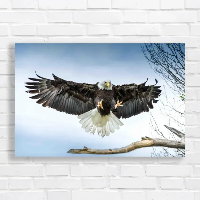 x=0.35;y=0.35;w=0.3;h=0.3