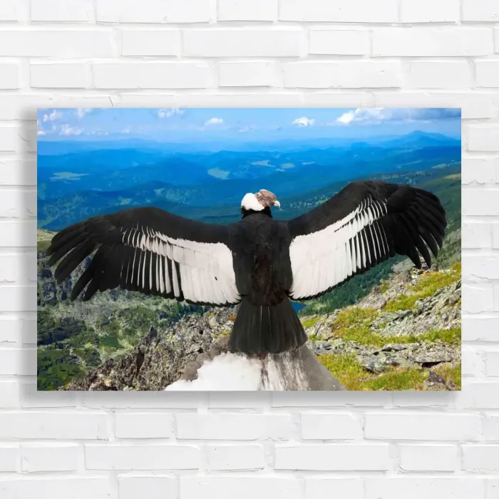 x=0.35;y=0.35;w=0.3;h=0.3