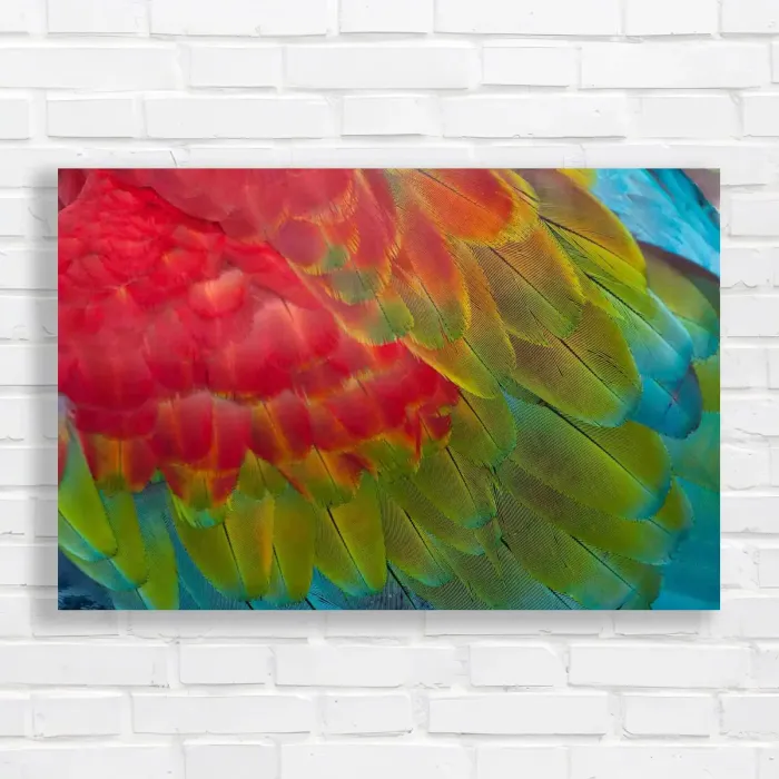 x=0.35;y=0.35;w=0.3;h=0.3