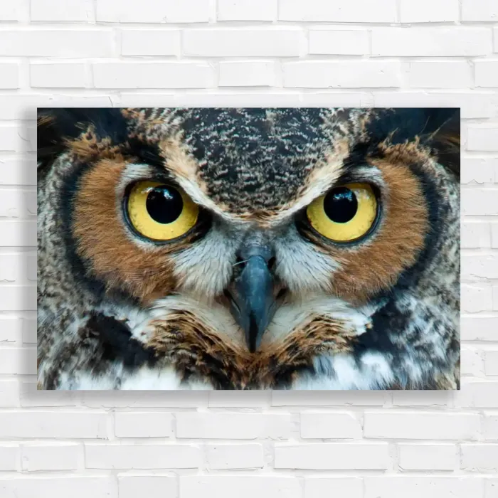 x=0.35;y=0.35;w=0.3;h=0.3