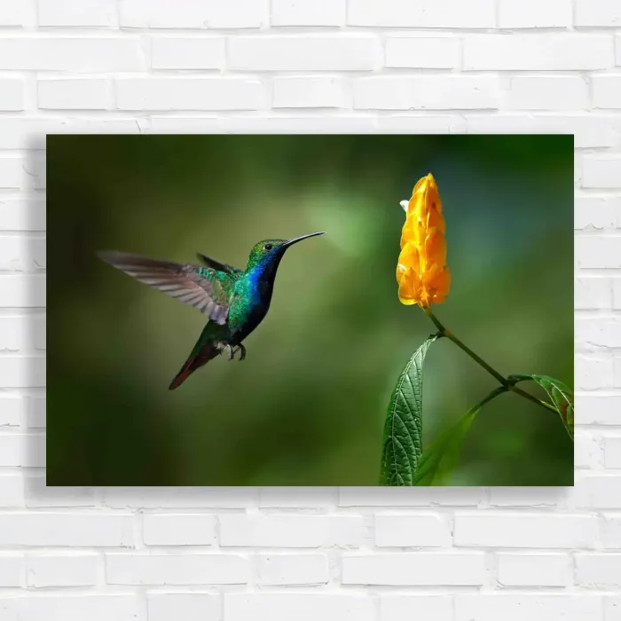 x=0.35;y=0.35;w=0.3;h=0.3