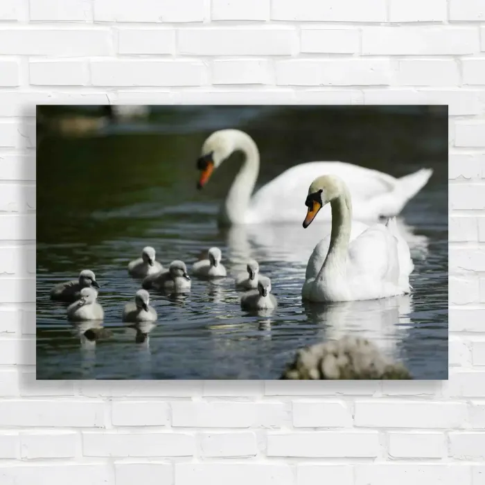 x=0.35;y=0.35;w=0.3;h=0.3