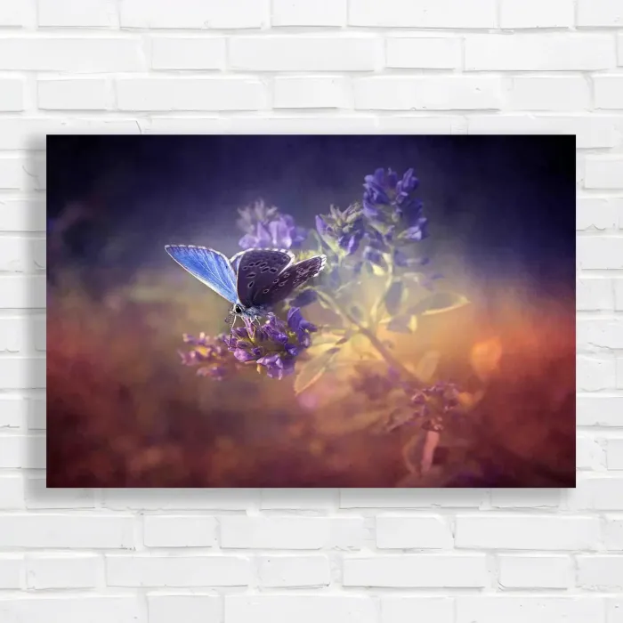 x=0.35;y=0.35;w=0.3;h=0.3