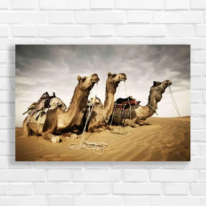 x=0.35;y=0.35;w=0.3;h=0.3