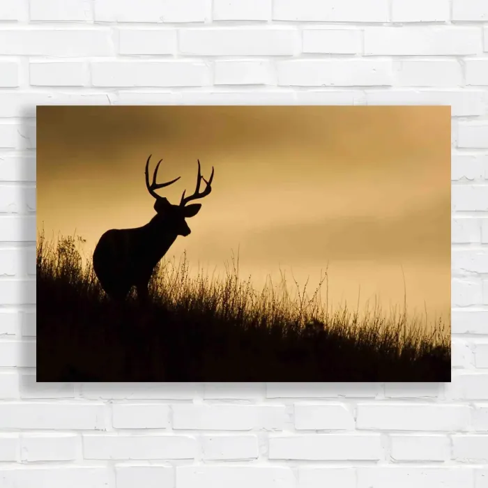 x=0.35;y=0.35;w=0.3;h=0.3