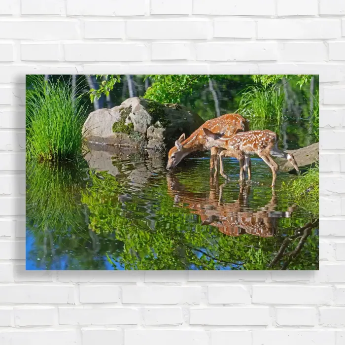 x=0.35;y=0.35;w=0.3;h=0.3