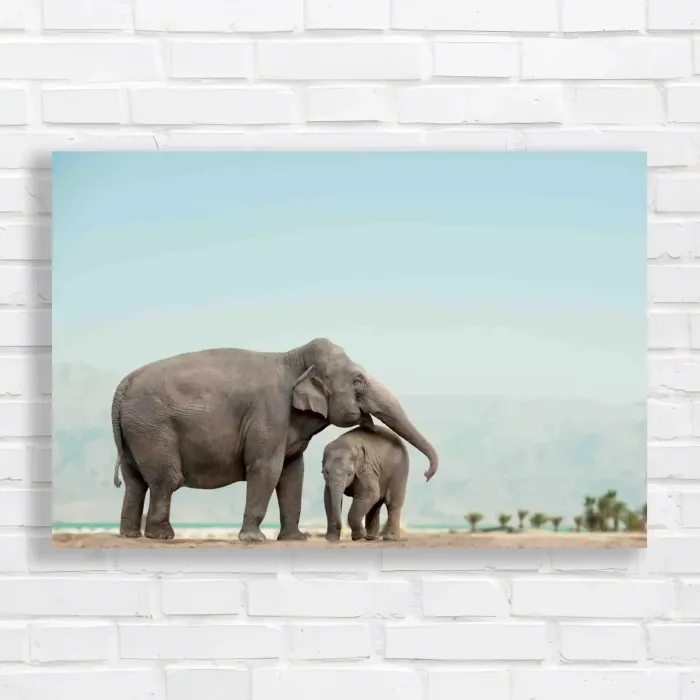 x=0.35;y=0.35;w=0.3;h=0.3