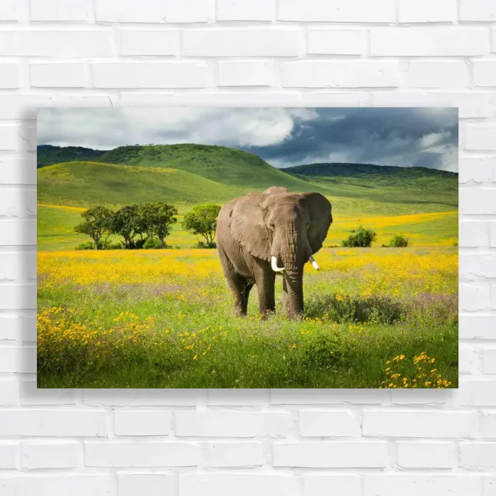 x=0.35;y=0.35;w=0.3;h=0.3