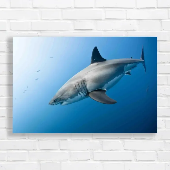 x=0.35;y=0.35;w=0.3;h=0.3