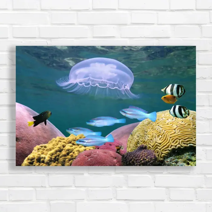 x=0.35;y=0.35;w=0.3;h=0.3