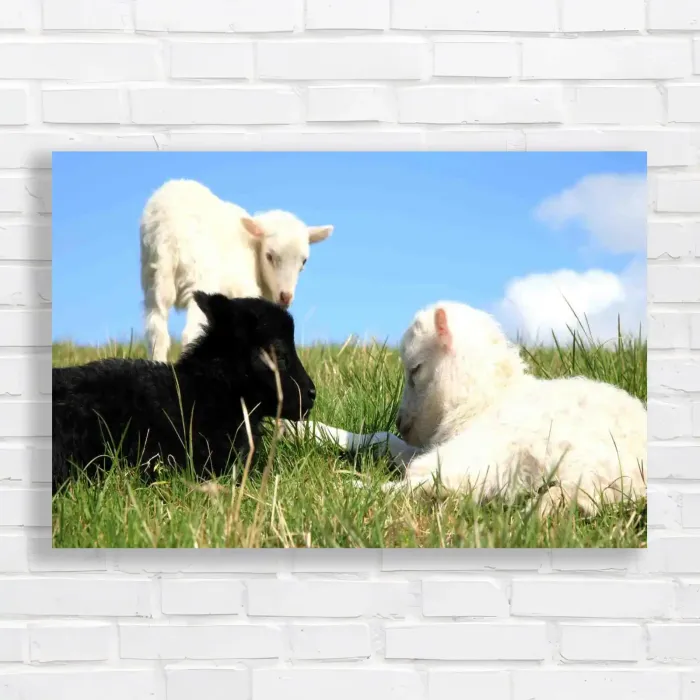 x=0.35;y=0.35;w=0.3;h=0.3