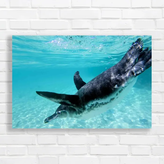 x=0.35;y=0.35;w=0.3;h=0.3